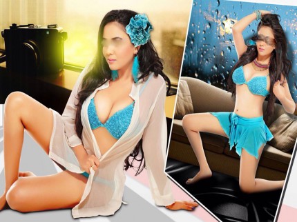 Indian escort Delhi Elite Srevices